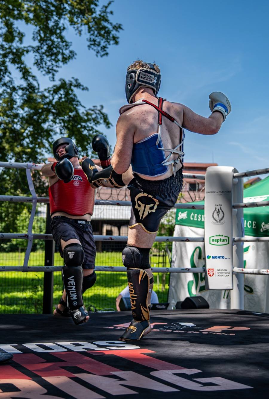 MMA klec — ground game